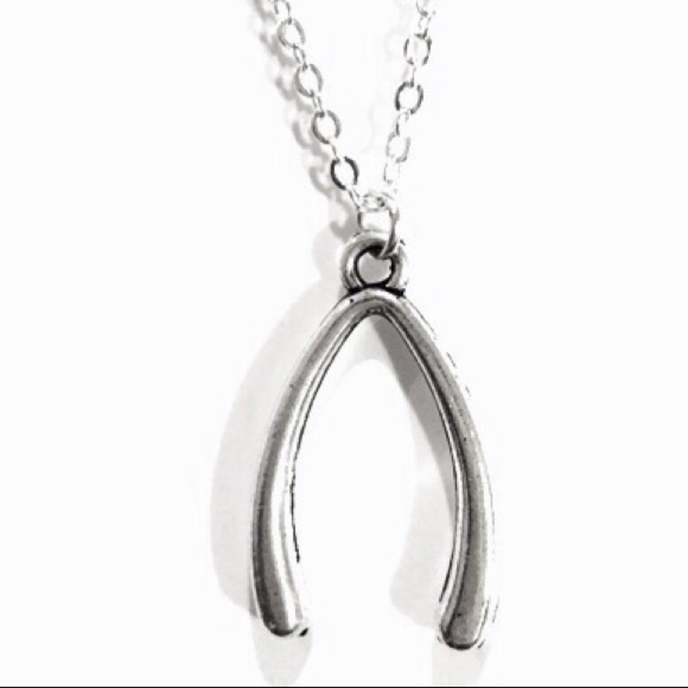 Silver Wishbone Necklace 18” Sterling Chain